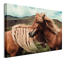 Obrazy s koňmi - Horses with mane - Brandan Keller CS3785