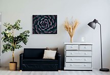 Obraz Kaktus, Espanioly Yousef CS3792