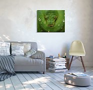 Had obraz na plátne, Clode David CS3796