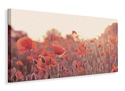 Field of Poppies - Obraz WDC44216