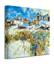 Daisies Amongst The Pebbles - Obraz WDC95415