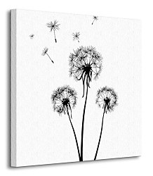 Púpavy - Obraz CKS0526