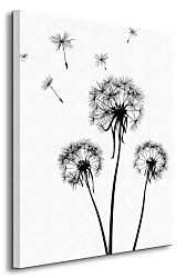 Púpava - Obraz CS0526