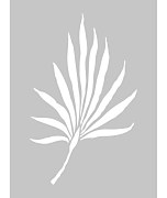 dekoracia na stenu palmovy list