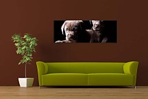 Obrazy Panoráma zvieratá  zs3173