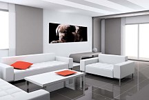 Obrazy Panoráma zvieratá  zs3173