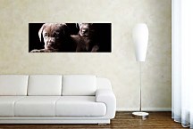 Obrazy Panoráma zvieratá  zs3173