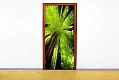 Tapety na dvere 6782