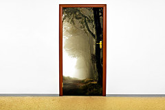 Samolepky na dvere 6539