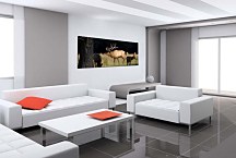 Obrazy Zvierat zs3174