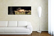 Obrazy Zvierat zs3174