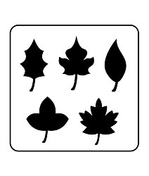 Šablóna Leaves set Craft Mini ST189