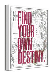 Destiny - Obraz WDC92759