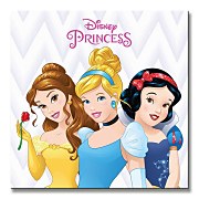 Disney Princess (Belle, Cinderella and Snow White) - Obraz WDC95525