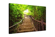 Obraz Drevené schody zs29280