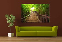 Obraz Drevené schody zs29280