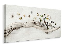 Drift of Butterflies - Obraz WDC44479