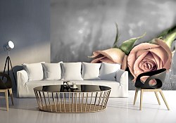 Dve ruže - fototapeta FX0205