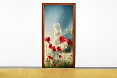 Samolepka na dvere 6722