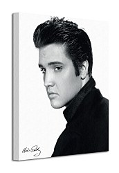 Elvis (Portrait) - Obraz WDC94496
