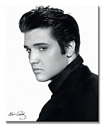 Elvis (Portrait) - Obraz WDC94496
