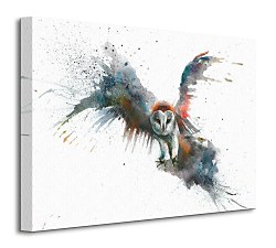 Eric In Flight - Obraz WDC94272