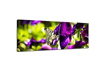 Obrazy Panoráma Kvetov zs3140