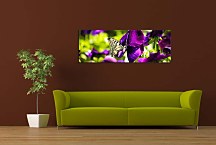 Obrazy Panoráma Kvetov zs3140