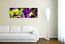 Obrazy Panoráma Kvetov zs3140