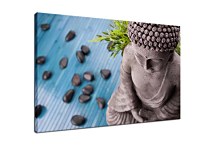 Obraz Feng shui motív zs29141