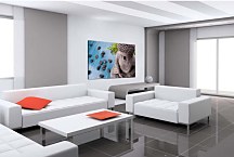 Obraz Feng shui motív zs29141