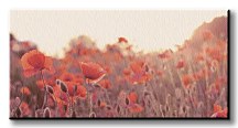 Field of Poppies - Obraz WDC44216