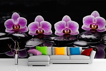 Tapeta Orchidea s kameňmi 29087 - vinylová