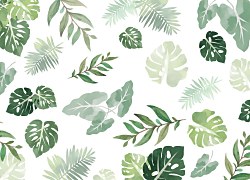 Fototapeta Exotic leaves FM3820