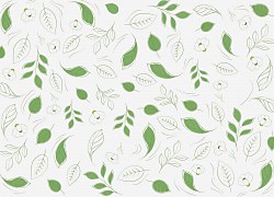 Zelené lístky - fototapeta FM3821