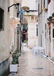 Alej - fototapeta FM4115