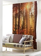 Jesienny las - fototapeta FM4232