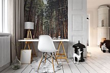 Zimowa Tajga - fototapeta FM4399