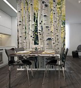 Brezy - fototapeta FM4677