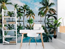 Palmy - fototapeta FM4764