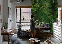 Zielona Droga - fototapeta FM4993