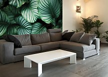 Kalatea - fototapeta FM5292