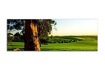 Obraz so stromom zs3254