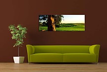 Obraz so stromom zs3254