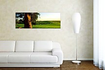 Obraz so stromom zs3254