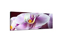 Obrazy Kvetov na stenu zs18538