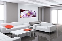 Obrazy Kvetov na stenu zs18538