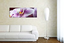 Obrazy Kvetov na stenu zs18538