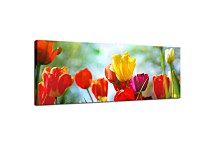 Obrazy Kvetov panoráma zs101
