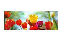 Obrazy Kvetov panoráma zs101